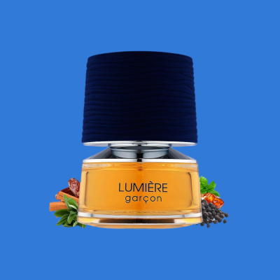 Lumiere Garcon Eau De Parfum By French Avenue Fragrance World 100ml 3.4 FL OZ